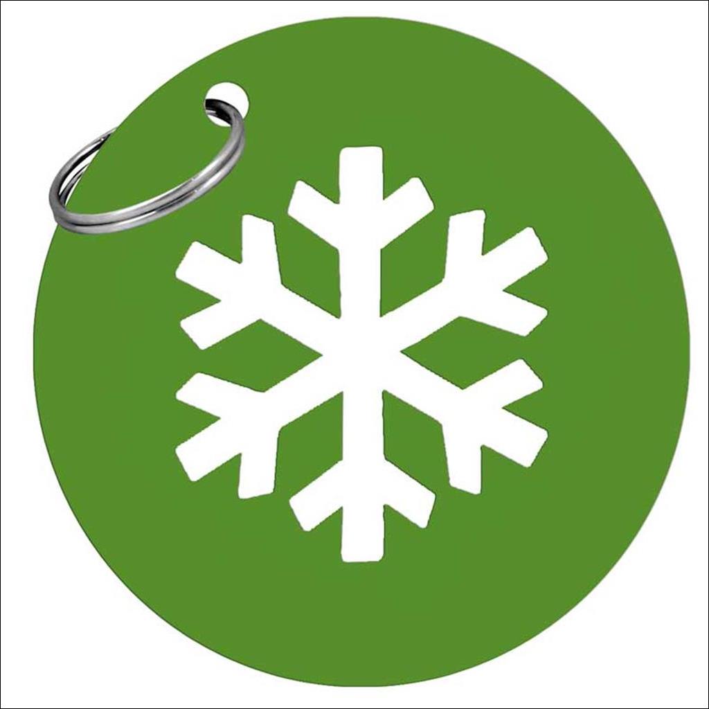 Snowflake metal keyring - Green 