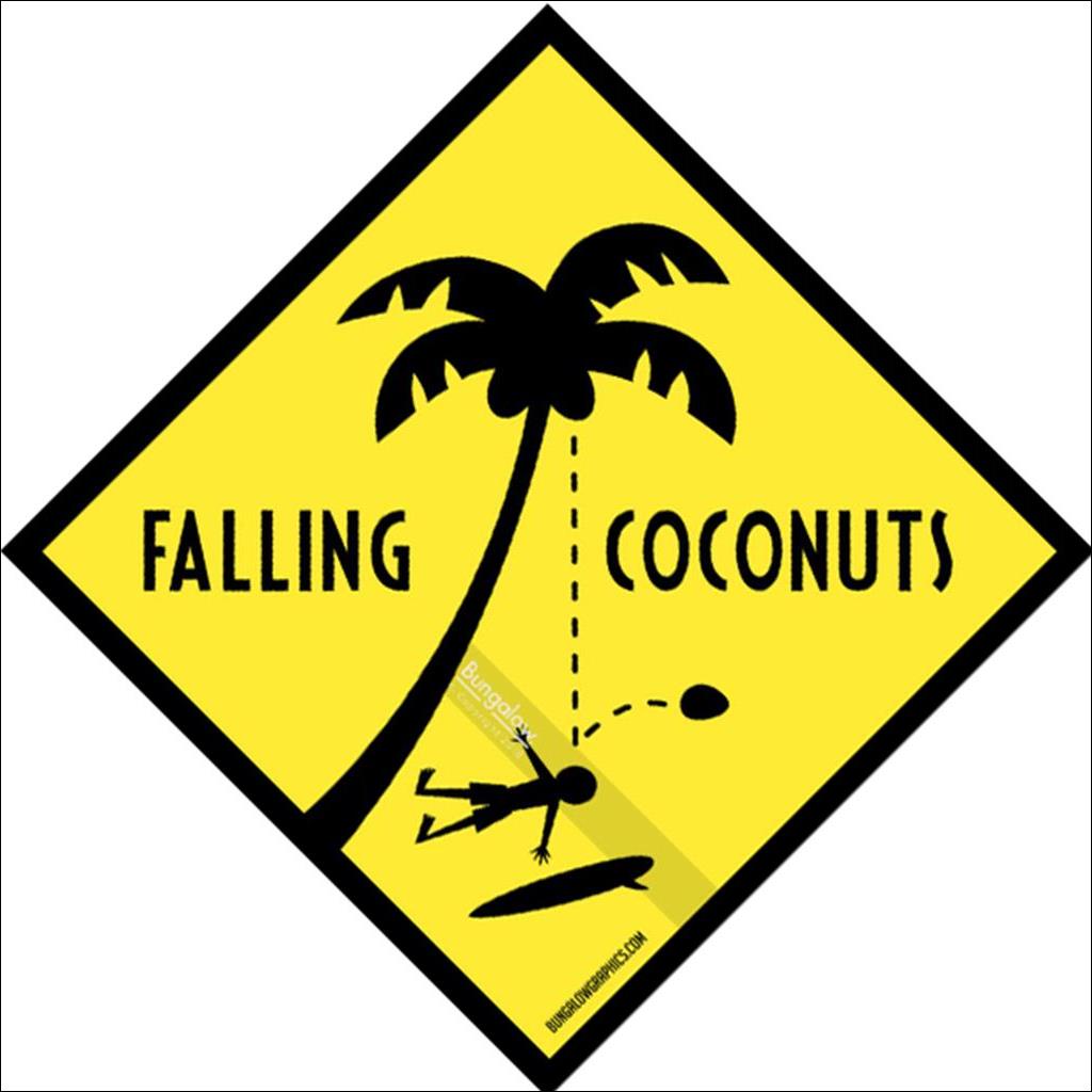 FALLING COCONUTS
